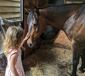 Equestrian Therapy